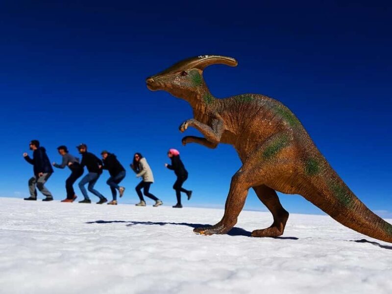 Excursion to the Salar de Uyuni 1 Day + Lunch - Exploring Bolivia’s Salt Flat in a Day: A Deep Dive