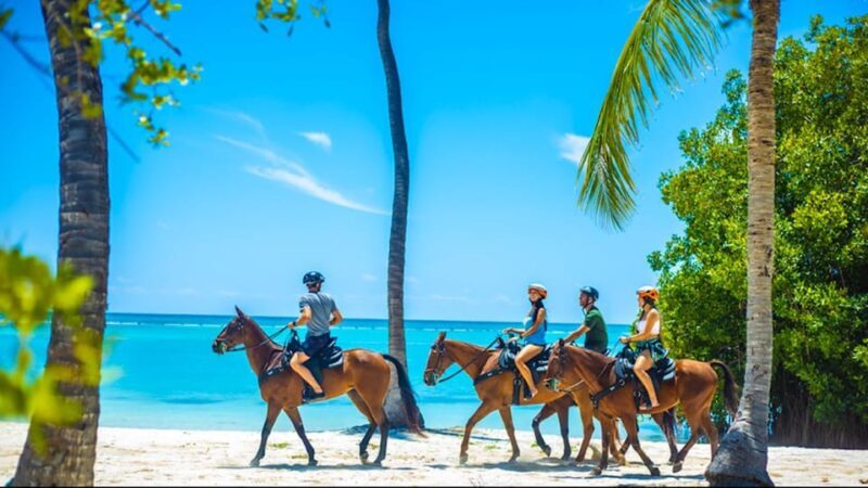 Exhilarating Buggy Tours: Discover Punta Cana Scenic Wonders - Key Points