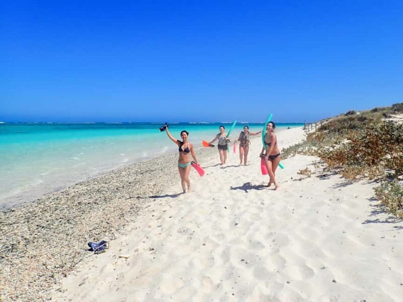Exmouth: Guided Ningaloo Reef Snorkel Adventure - Key Points