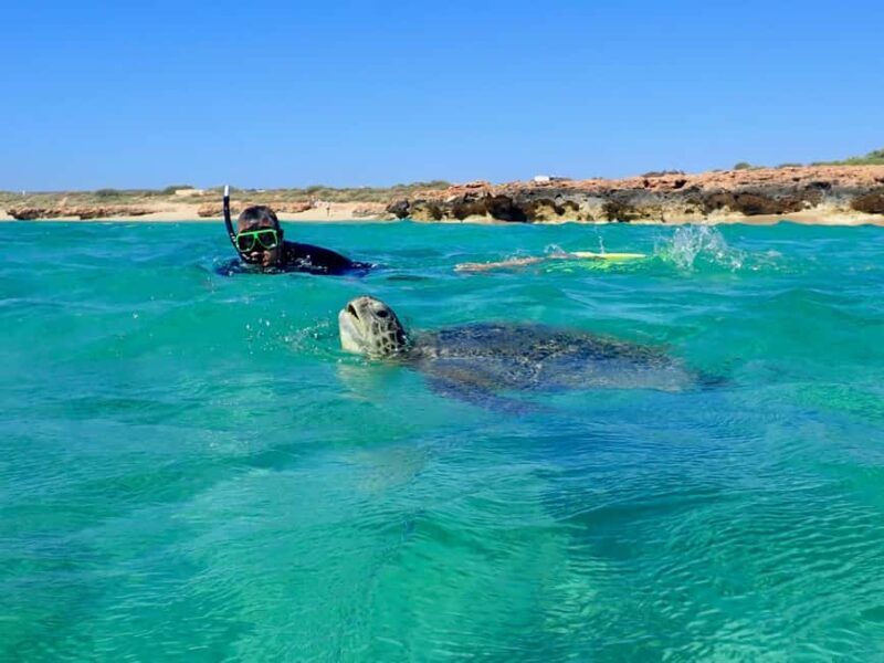 Exmouth: Half Day Turtle Kayak & Snorkel Tour - A Thorough Look at the Tour Experience