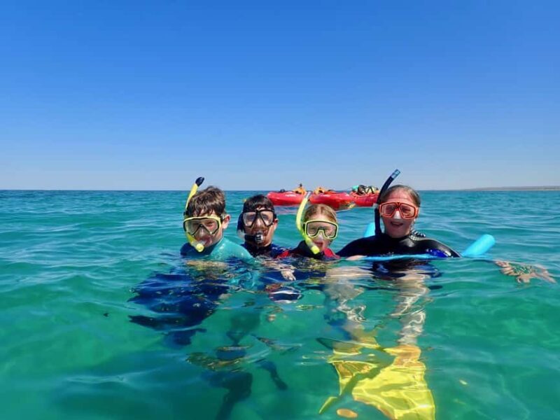 Exmouth: Half Day Turtle Kayak & Snorkel Tour - Final Thoughts