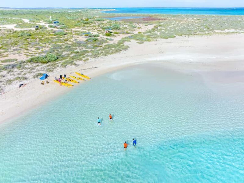 Exmouth: Lagoon Explorer - Full day kayak & Snorkel tour - Authenticity and Value
