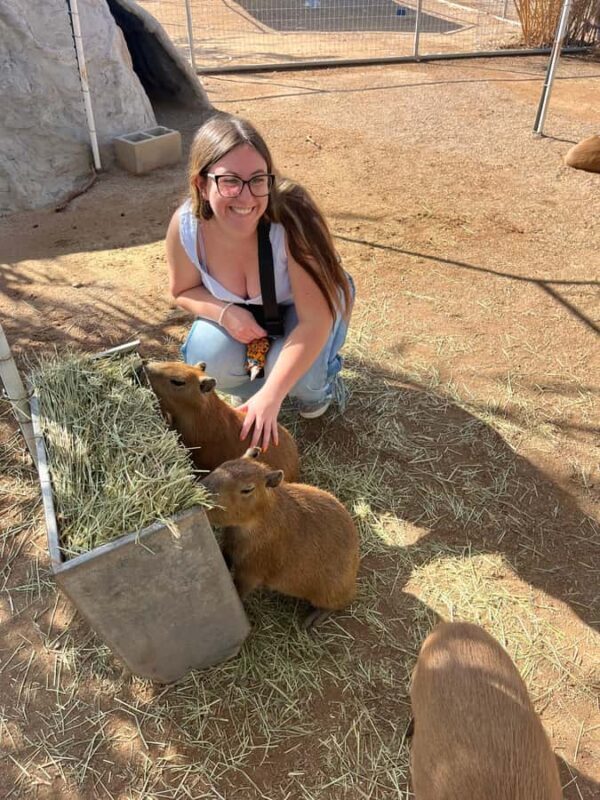 Exotic Animal Encounter Marana, AZ - 15 Friendly Capybara - Exploring the Ghost Ranch Exotics Experience