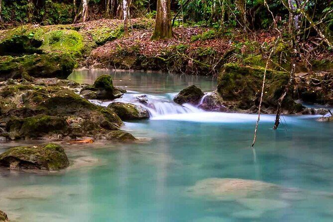 Exotic Blue Hole and Native Tour - Why This Tour Is a Great Choice