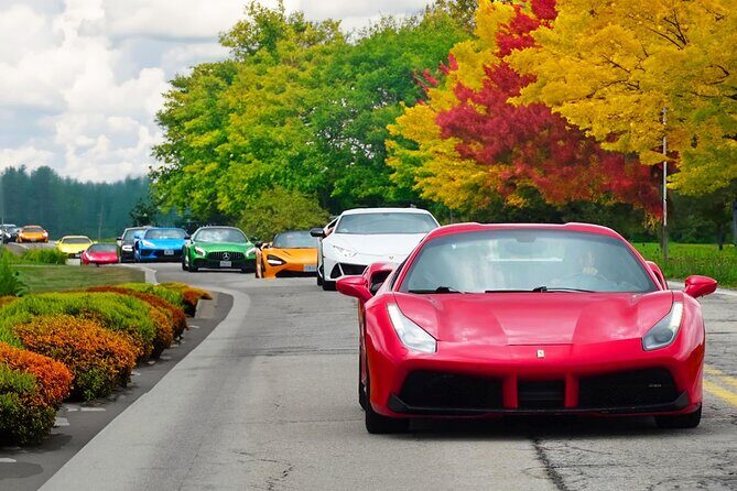 Exotic Car Driving Tours with Super Cars in Blue Mountain - Overview of the Tour Experience