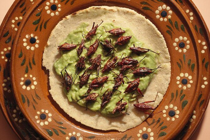 Exotic Food Tasting: Taste the Unexpected - Key Points