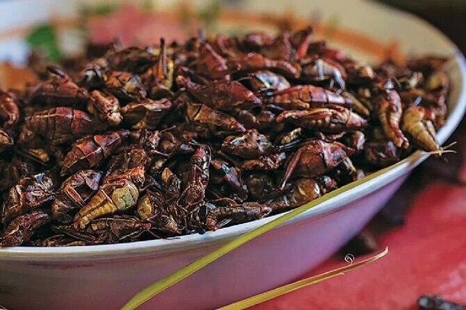 Exotic Food Tasting: Taste the Unexpected - FAQ