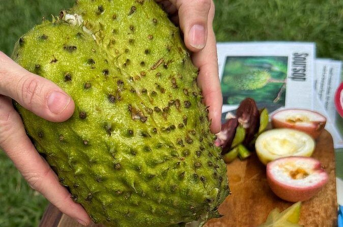 Exotic Fruit Tasting Tour in Kona - The Sum Up