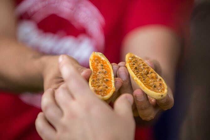 Exotic Fruits Tour - Who Will Love This Tour?