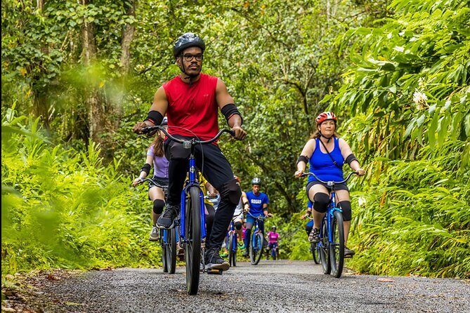 Exotic Full-Day Blue Mountain Bicycle Adventure - A Deep Dive into the Blue Mountain Bicycle Adventure