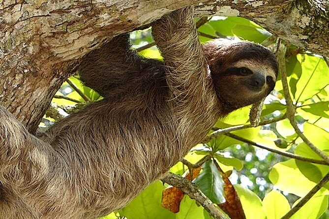 Exotic Landscapes of Costa Rica - Key Points