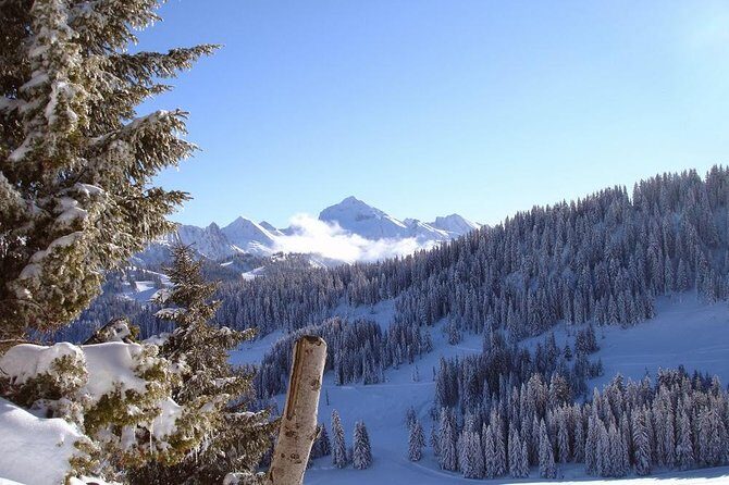 Exotic Manali Package - Exploring the Exotic Manali Package: An Authentic Four-Day Journey