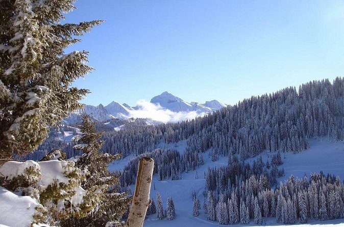 Exotic Manali Package - Key Points