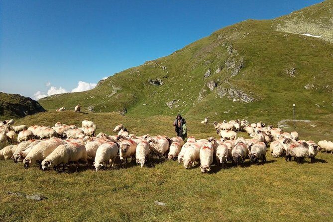 Expedition in Fagaras Mountains from Brasov (Private Tour!) - The Route and What It Means for You