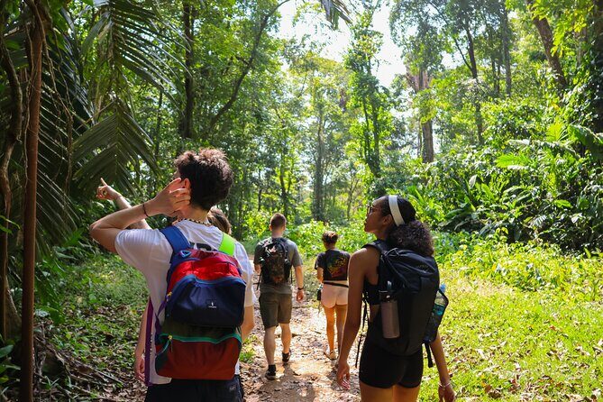 Expedition in the Jungle to the Eco Abandoned Estate of Punta Mona - Key Points