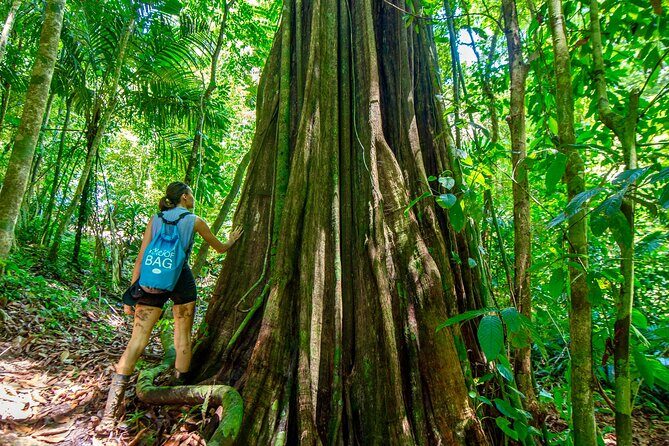 Expedition in the Jungle to the Eco Abandoned Estate of Punta Mona - Detailed Review of the Expedition in the Jungle to Punta Mona