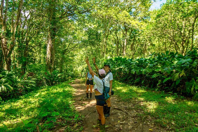 Expedition in the Jungle to the Eco Abandoned Estate of Punta Mona - The Sum Up