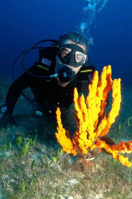 Experience 2 Tank Scuba Diving on Paros - Frequently Asked Questions