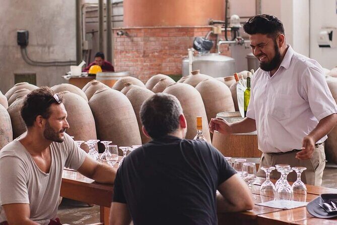 Experience and Tasting of Pisco and Peruvian wine - The Sum Up: Is It Worth It?