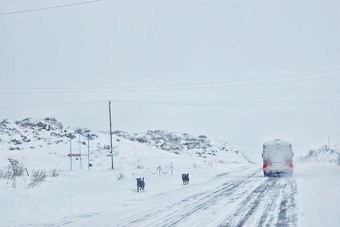 Experience Armenia - Day Trip from Tbilisi - Border Crossing Considerations