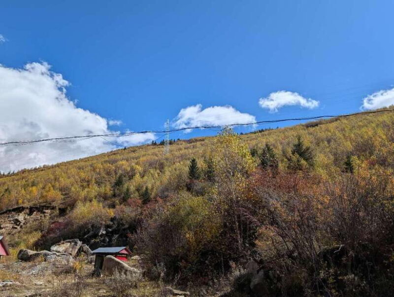 Experience Authentic Chengdu with a Personalized Local Guide - Key Points