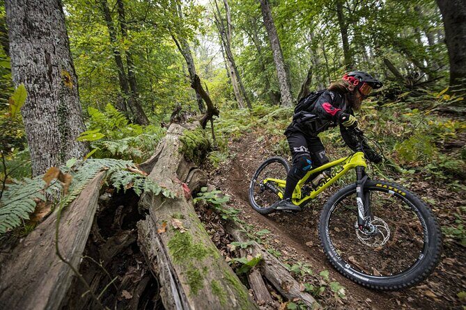 Experience Biking Adventure in Maui Mountain - Experience Biking Adventure in Maui Mountain: A Honest Review