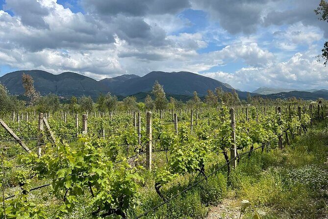 Experience Blue Eye , Lekuresi Castle and Taste Traditional Albanian Wine - FAQ