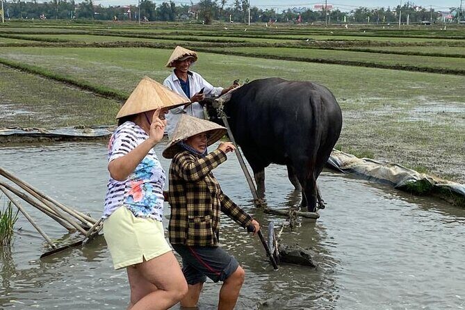 Experience Buffalo riding & farming w Local Farmer - Experience Buffalo Riding & Farming with a Local Farmer in Hoi An
