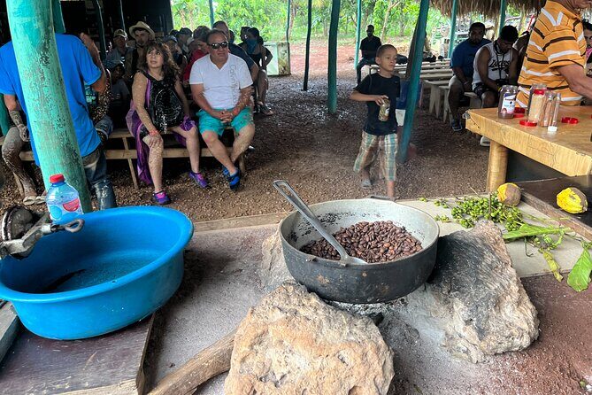 Experience Buggies in Punta Cana - FAQs