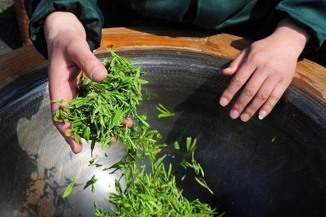 Experience Chengdu: Private Tea-Making Day Tour of Mengdingshan Tea Plantation - Experience Chengdu: Private Tea-Making Day Tour of Mengdingshan Tea Plantation