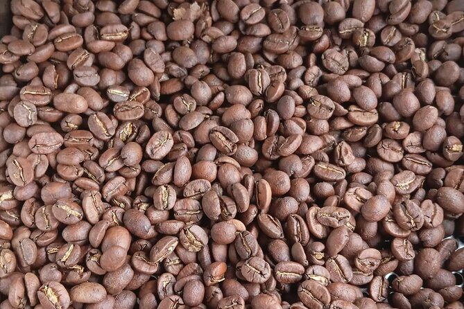 Experience Coffee Roasting in Bajo Boquete with Expert Guide - Experience Coffee Roasting in Bajo Boquete with Expert Guide