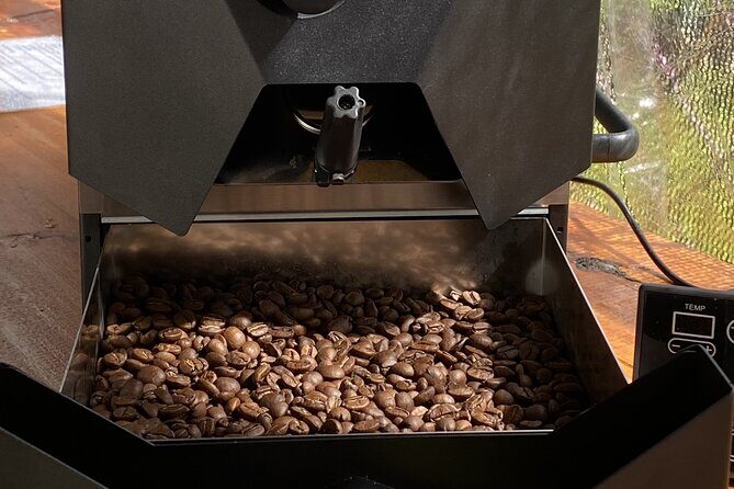 Experience Coffee Roasting in Bajo Boquete with Expert Guide - Who Will Enjoy This Tour?