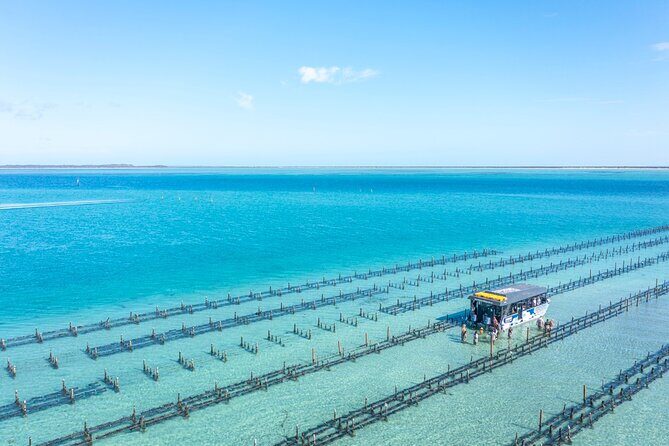 Experience Coffin Bay Oyster Farm and Bay Tour - Who Should Consider This Tour?
