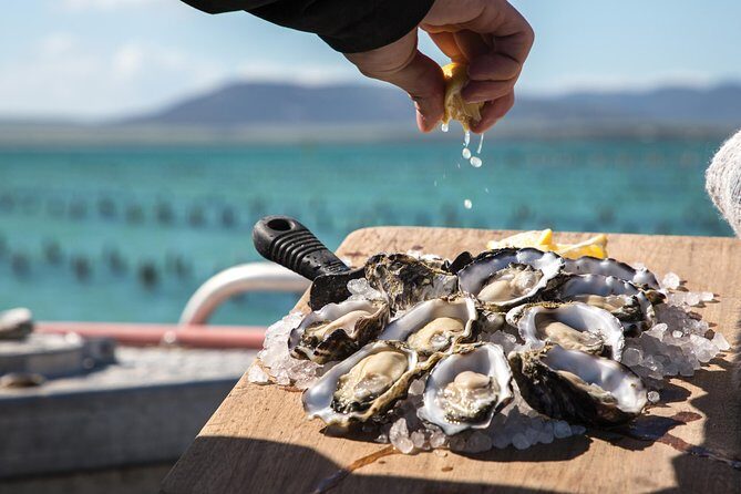 Experience Coffin Bay Oyster Farm and Bay Tour - The Sum Up: The Best of Coffin Bay in a Nutshell