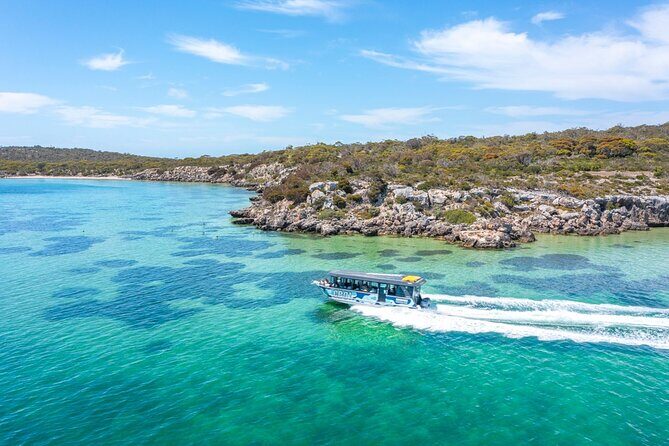 Experience Coffin Bay Short and Sweet Oyster Farm Tour - Experience Coffin Bay Short and Sweet Oyster Farm Tour