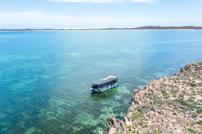 Experience Coffin Bay Short and Sweet Oyster Farm Tour - Who Will Love This Tour?