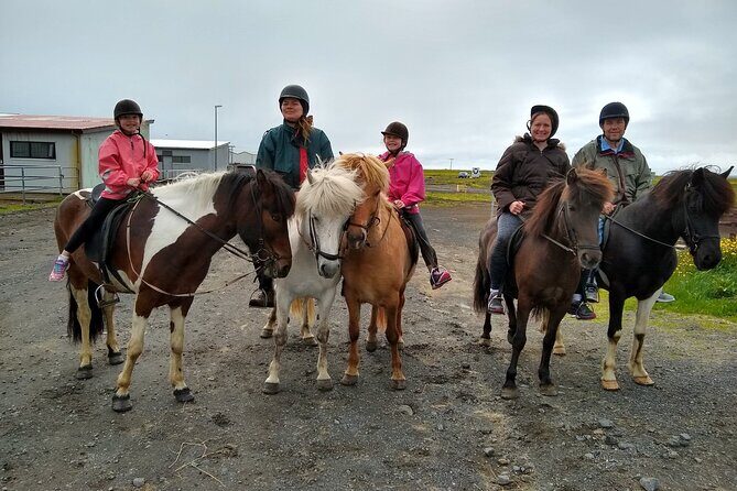 Experience Countryside of Iceland by Horseback Riding - Final Thoughts