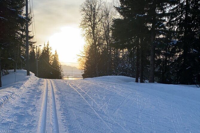 Experience Cross-Country Adventure in Tromsø - Experience Cross-Country Adventure in Tromsø