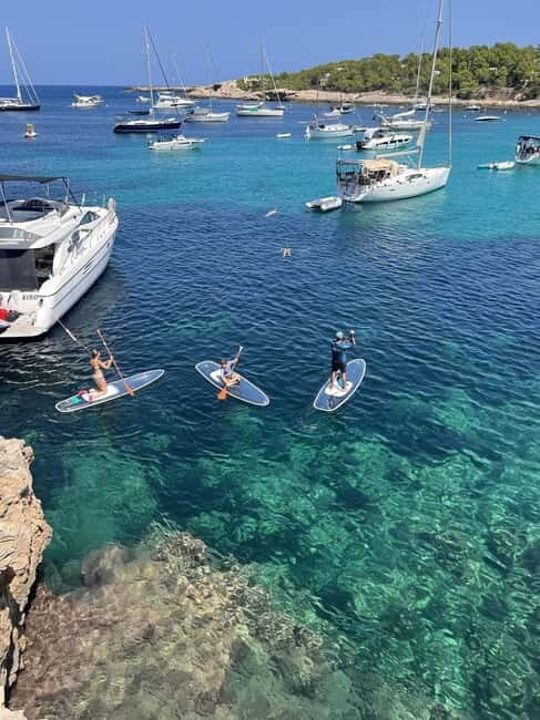 Experience Crystal paddle surf Tours + snorkel - Key Points