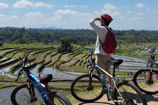 Experience Cycling Tour to Bali UNESCO Heritage Site in Jatiluwih - Exploring the Jatiluwih Cycling Tour