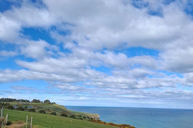 Experience Dunedin and Otago Peninsula Tours up to 8 people - A Deep Dive into Dunedin and Otago Peninsula