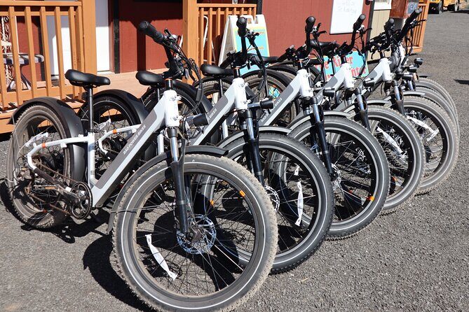 Experience E-Bike with Wine Tasting Activity - The Value of the Experience