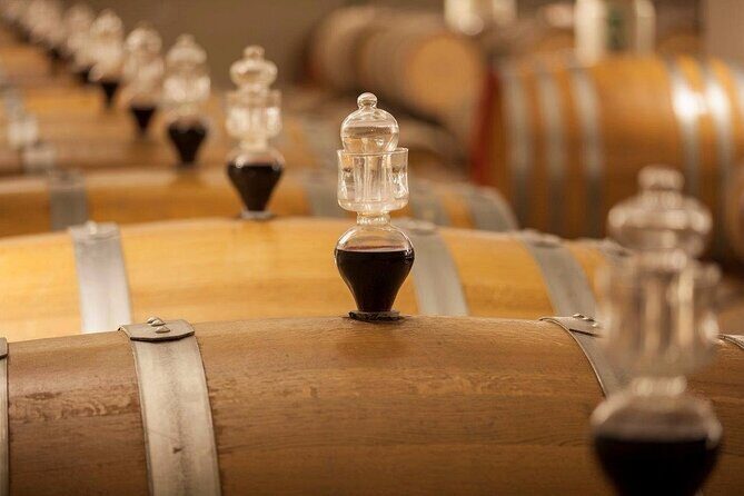 Experience Emilian Wines at Bologna Vineyard Vista - The Flavors and Scenery That Stand Out