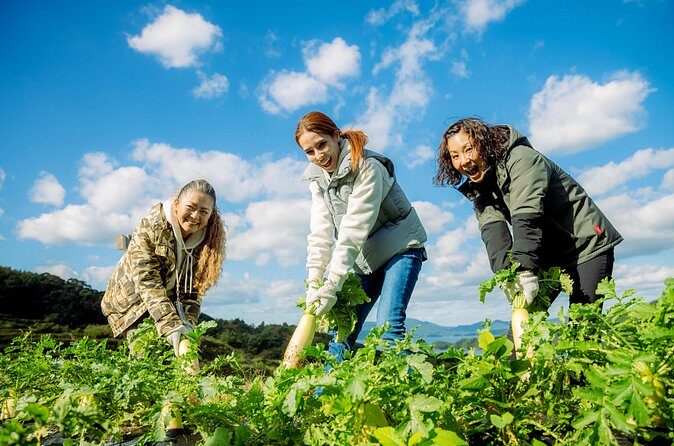Experience farming (rice cultivation) in terraced rice paddies - Who Should Consider This Tour?