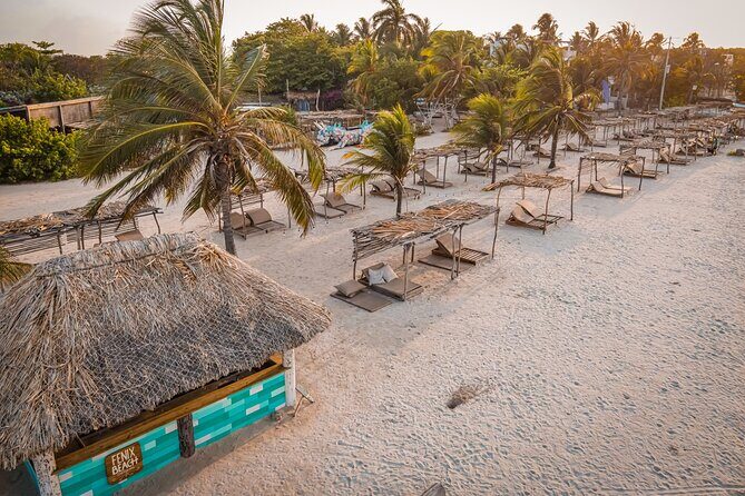 Experience Fenix Beach Cartagena - Basic Day Pass - Final Thoughts: Is It Worth It?