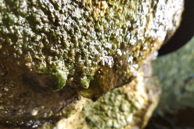 Experience Iwate Hidden Cave - Authentic Travelers’ Insights