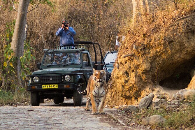 Experience Jungle Nights: Stay in Jim Corbett National Park's FRH - Experience Jungle Nights: Stay in Jim Corbett National Parks FRH