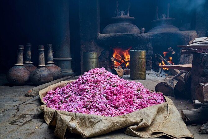 Experience Kannauj the perfume capital from Agra in Private Car - Exploring the Perfume Capital: What to Expect
