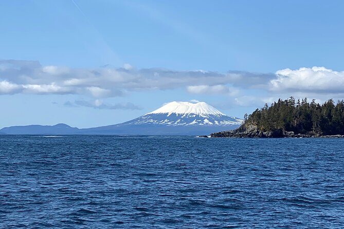 Experience Local Marine Wildlife Tour - Pricing and Overall Value