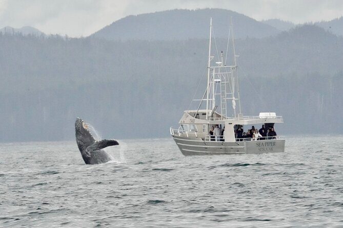 Experience Local Marine Wildlife Tour - Frequently Asked Questions (FAQs)